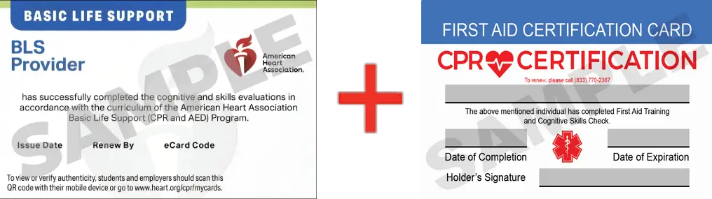 Sample American Heart Association AHA BLS CPR Card Certification and First Aid Certification Card from CPR Certification McKinney