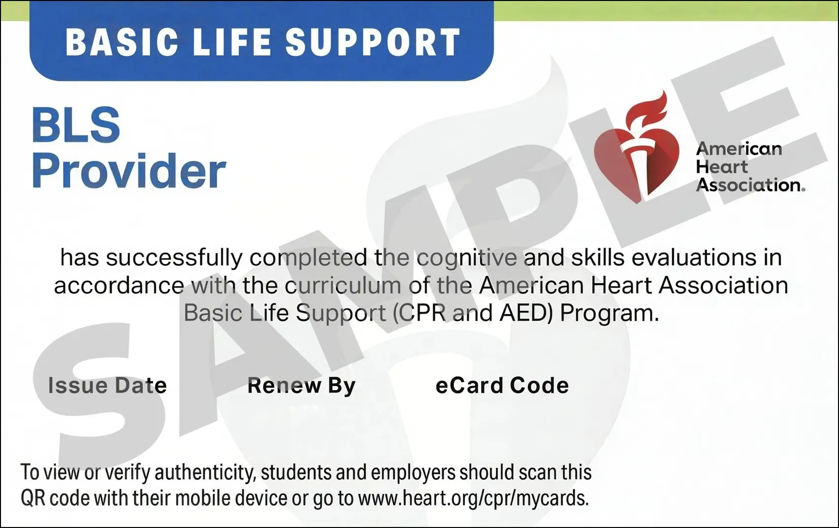 Sample American Heart Association AHA BLS CPR Card Certification from CPR Certification McKinney